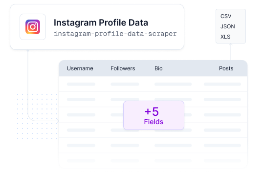Instagram Profile Search